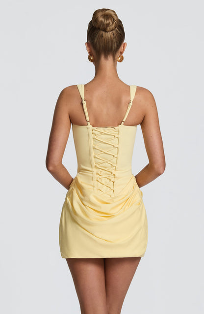 Carolia Mini Dress